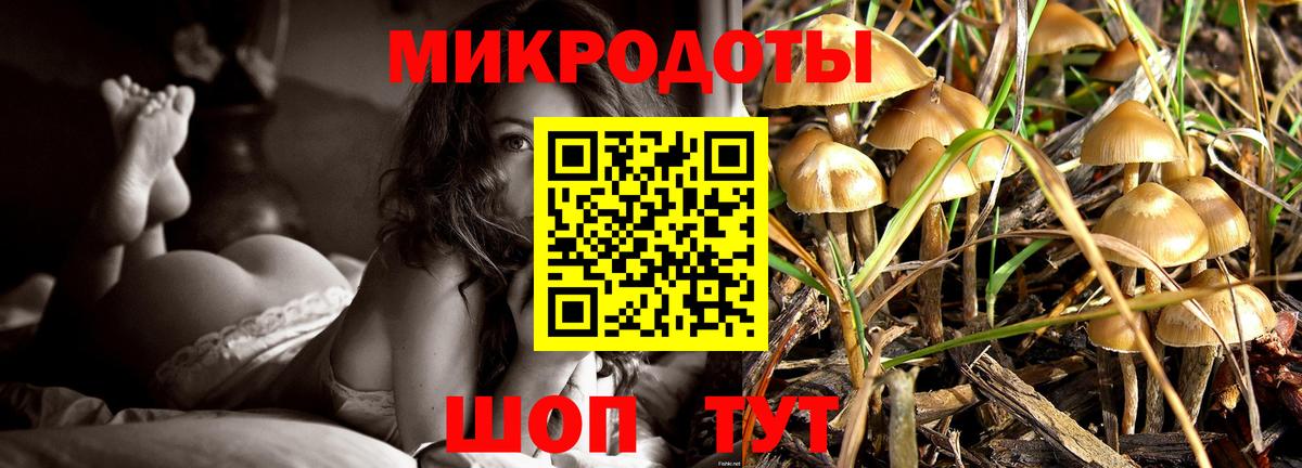 Галлюциногенные грибы мицелий Минусинск